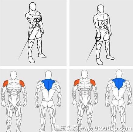 9张肌肉训练动作图解，什么动作练什么肌肉一目了然！