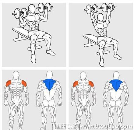9张肌肉训练动作图解，什么动作练什么肌肉一目了然！