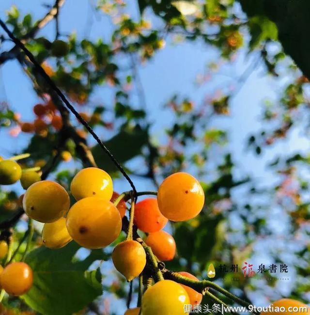 立夏养生，先“养心”，夏季必吃的几种食物你知道几种？