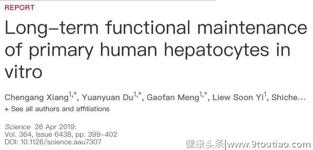 肝病研究重大突破！乙肝战友的曙光：乙肝感染新细胞模型