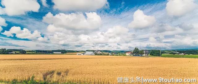 立夏养生必备食谱|做1碗粥，护好孩子体内的阳气，提升免疫力