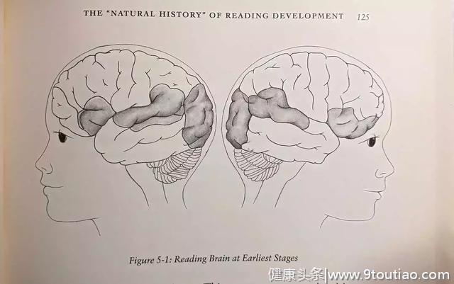 脑科学实验揭开孩子不爱阅读真相：读书人的大脑与普通人截然不同