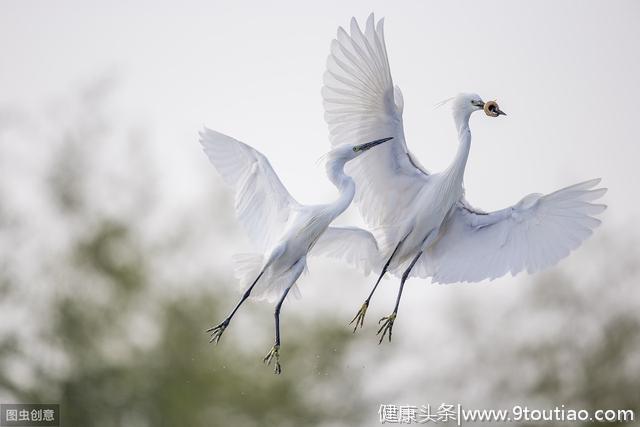 立夏 | 养生，这份立夏菜单收好，养心护心，疾病不缠身!