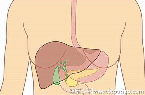 身体6个症状，说明肝脏毒素超标，这10种食物是肝脏的最佳解毒剂