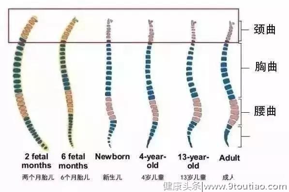 脖子肩背痛有了颈椎病，日常该如何保养？骨科医生：这2点最重要