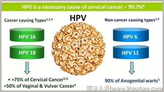 女性的福利来了！告别宫颈涂片，尿液检测将轻松搞定宫颈癌筛查！