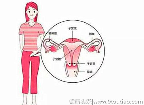 女人没子宫会怎样？后果比男人还可怕，子宫好不好看这部位就知道