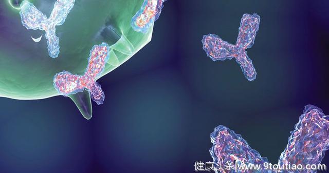 MIT研究用纳米抗体追踪肿瘤转移，未来可向病灶“运送”治疗药物