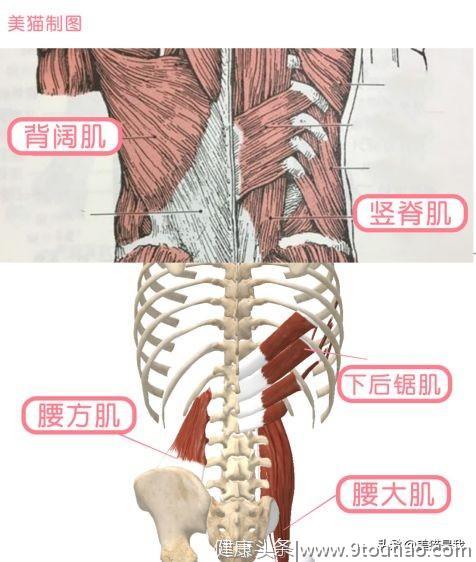 长期腰痛，可能是腰肌劳损，如何自测和缓解？