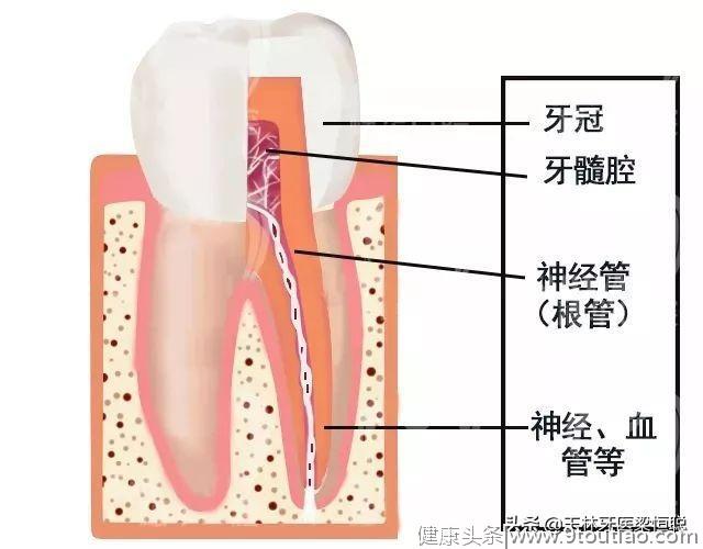 牙齿发炎常规处理？当心延误病情！ （值得收藏，推荐）