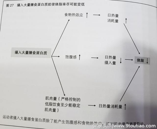 人形巨兽修炼秘笈，不想做一个健身小白就该知道这些常识！