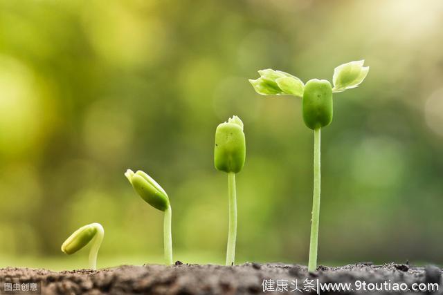 小儿五脏发育快，重新认识孩子的身体，宝宝少得病