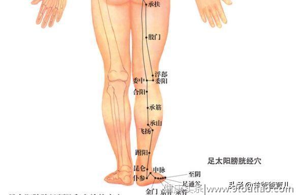 每天泡脚10分钟，帮助身体排毒，增强脾肾功能（健康养生常备）