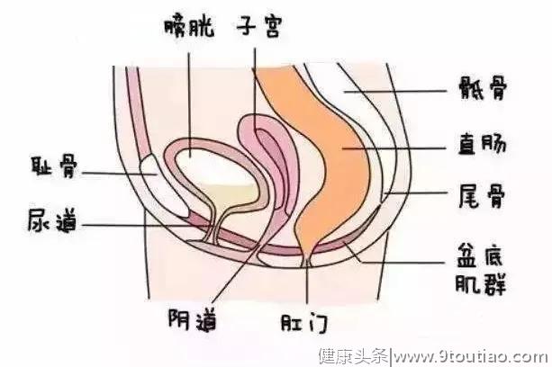 家有更年期母亲，除了吐槽，你还需要关注这些