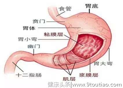 胃癌和胃溃疡的好发部位是哪里？一般人估计回答不出来