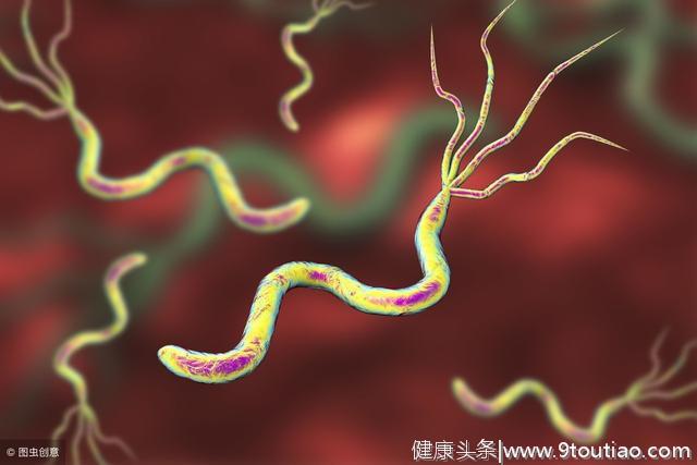 幽门螺杆菌，中国人胃癌首害！医生提醒：积极预防，要做到这6点