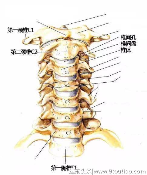 颈椎拉伸方法，让你远离脖子痛