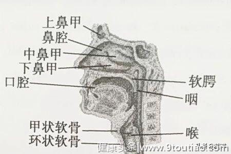 如何判断是否患上了感冒，除了依靠症状之外，主要靠做这些检查