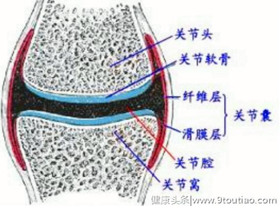 类风湿性关节炎？不就是关节疼吗？没那么简单！医生辟谣