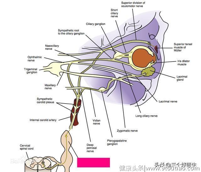 失眠不一定需要吃药，正骨治疗也可有效！