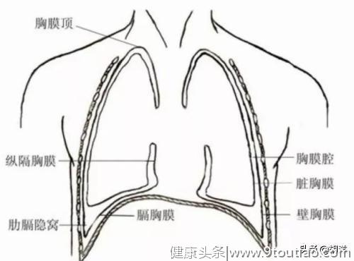 肺癌引起胸痛不是因为破坏了肺，而是肺周边的这些组织受到了侵犯