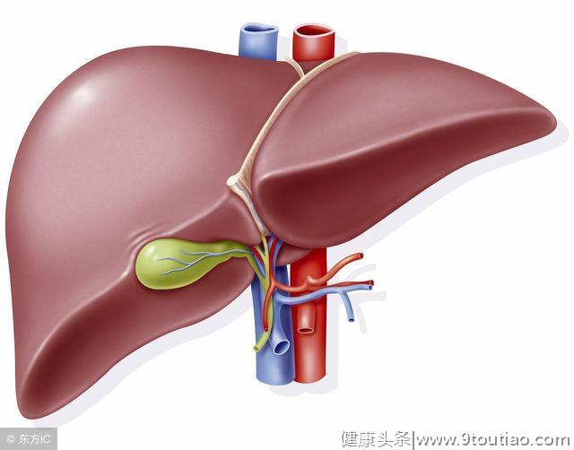 患上脂肪肝怎么办？这3种方法联合治疗，效果更好