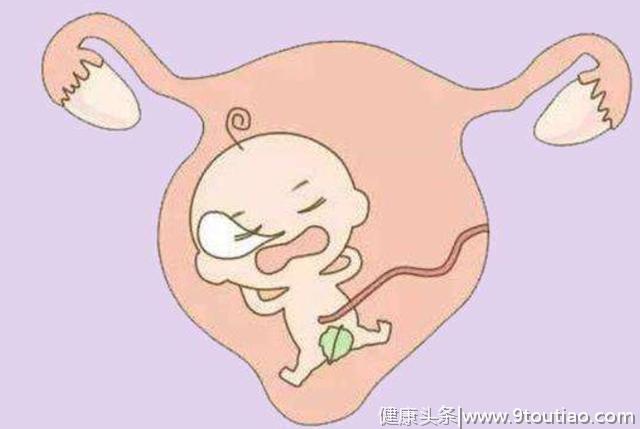 怀孕期间有性生活，宝宝能感受到吗?宝宝都有哪些感觉呢?