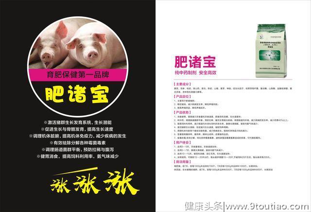 越南疫情已扑杀超120万头生猪！民间偏方能治非瘟？？