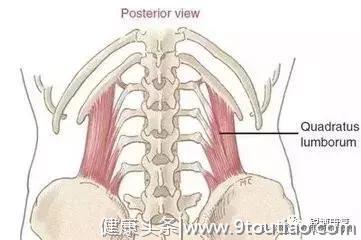 久坐后腰痛——竟是你：腰方肌！