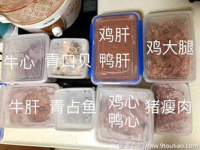 如何为猫咪做自制猫饭？一份营养均衡的自制食谱～