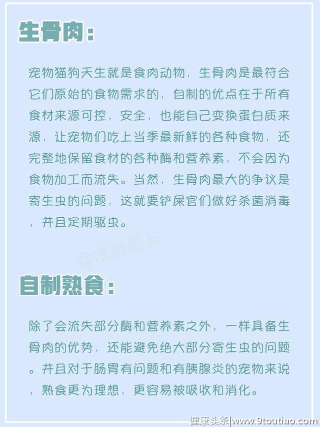 如何为猫咪做自制猫饭？一份营养均衡的自制食谱～