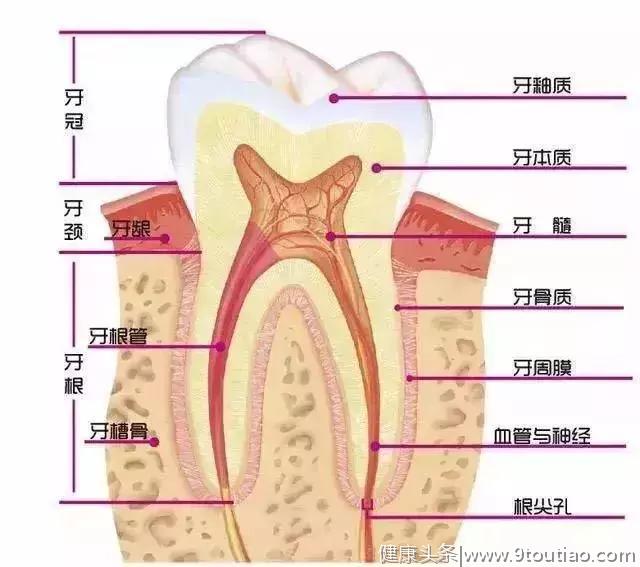 看牙不拍片就像开车无驾照，风险总是有的！