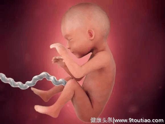 六个月胎儿在子宫内长什么样？5种胎动胎儿发育好，胎儿更聪明