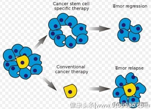 中科众安：重磅级研究解读近期抗癌疗法研究新成果