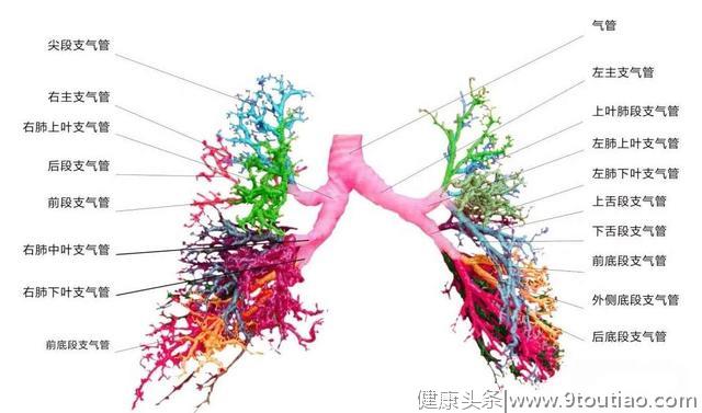肺癌多是"拖"出来的，身体若3处有"怪象"，最好去查一下肺CT