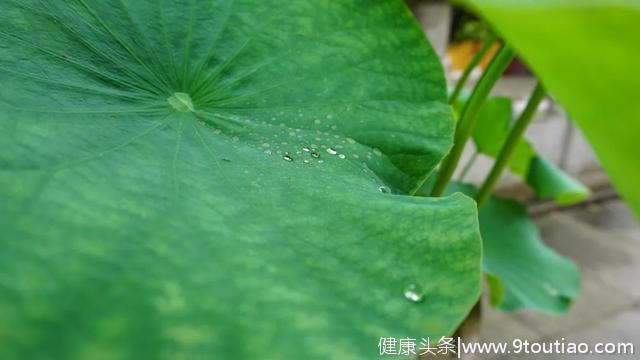 今日小满 | 夏天要来了！宁波人这样吃才养生