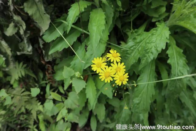 今日小满 | 夏天要来了！宁波人这样吃才养生