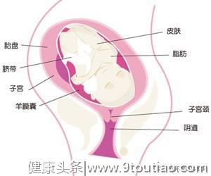 孕期常识之怀孕第三十九周 妈妈身体的变化
