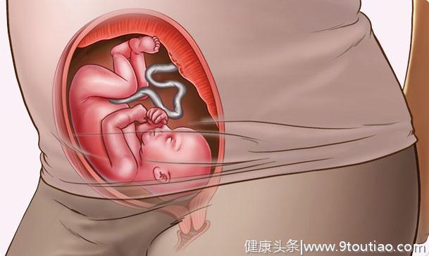 怀孕6个月胎儿发育快，这些事项一个比一个重要，孕妈做完才放心