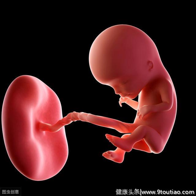 怀孕6个月胎儿发育快，这些事项一个比一个重要，孕妈做完才放心
