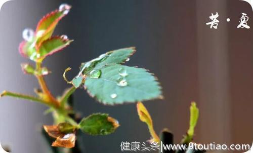 炎炎夏日，这些养生小妙招不能错过！