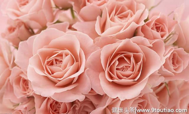 心理测试：你最喜欢哪一束玫瑰花？测你会被哪一种男人捧在手心