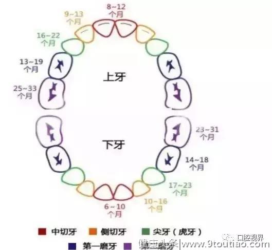 宝妈们请拿走，儿童口腔护理知识，这里都有~