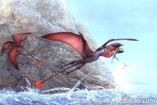 科学家告诉你1.9亿年前的翼龙吃什么