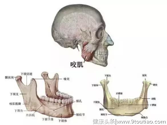 拔了智齿真的可以瘦脸吗？