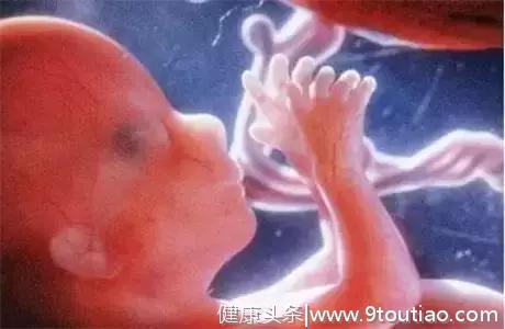 怀孕期间腹中的胎儿最怕妈妈干什么呢？孕妈再任性也不要做