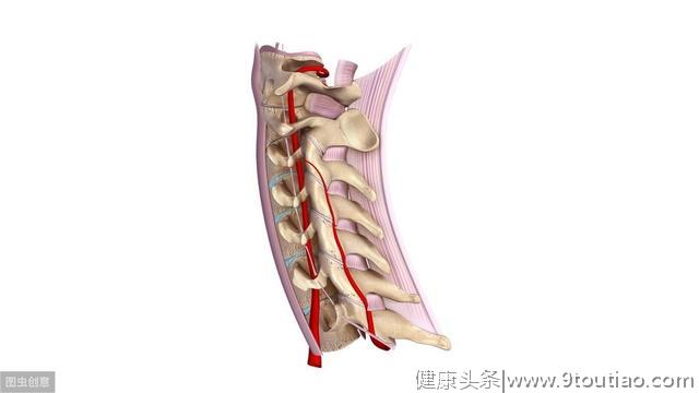 颈椎突出比腰椎突出更严重，得了颈肩盘突出该怎么办？