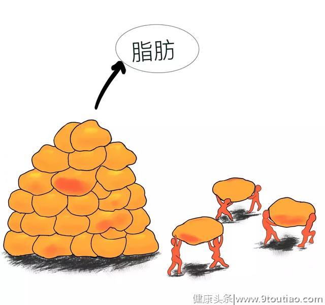 每4个中国人就有1个是脂肪肝患者！脂肪肝离我们越来越近