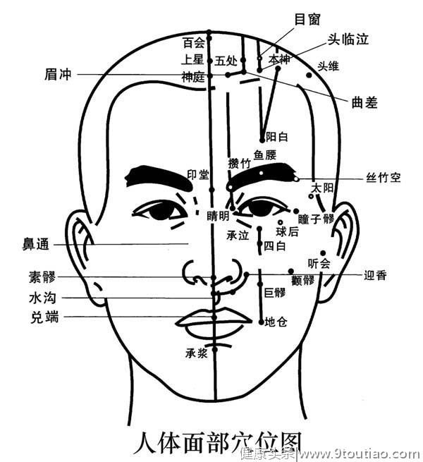 「转载」人体头部穴位图