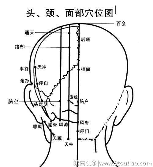 「转载」人体头部穴位图